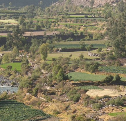 Campiña de Arequipa